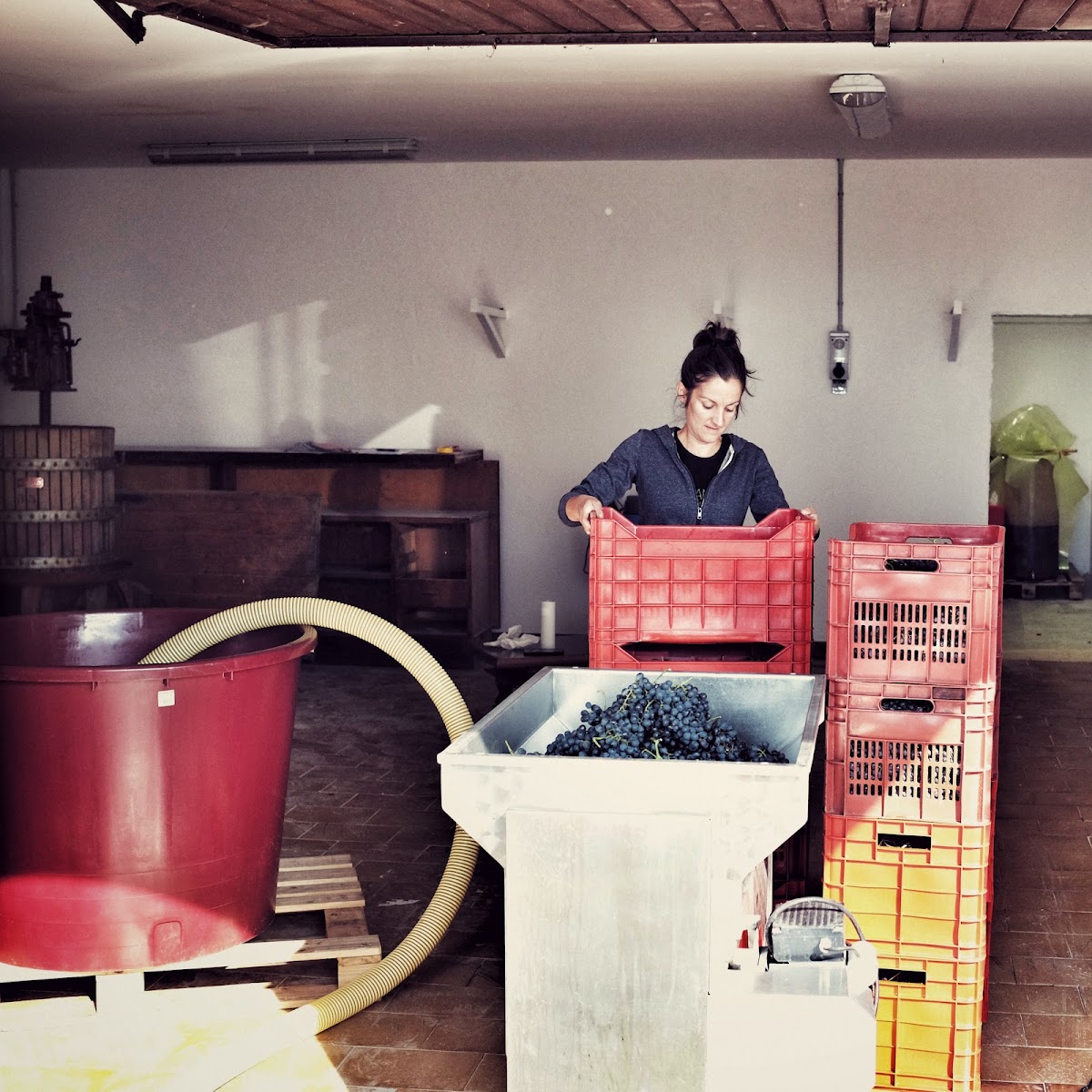 Azienda Agricola Vintage — Ristorante a Saint-Vincent, Aosta