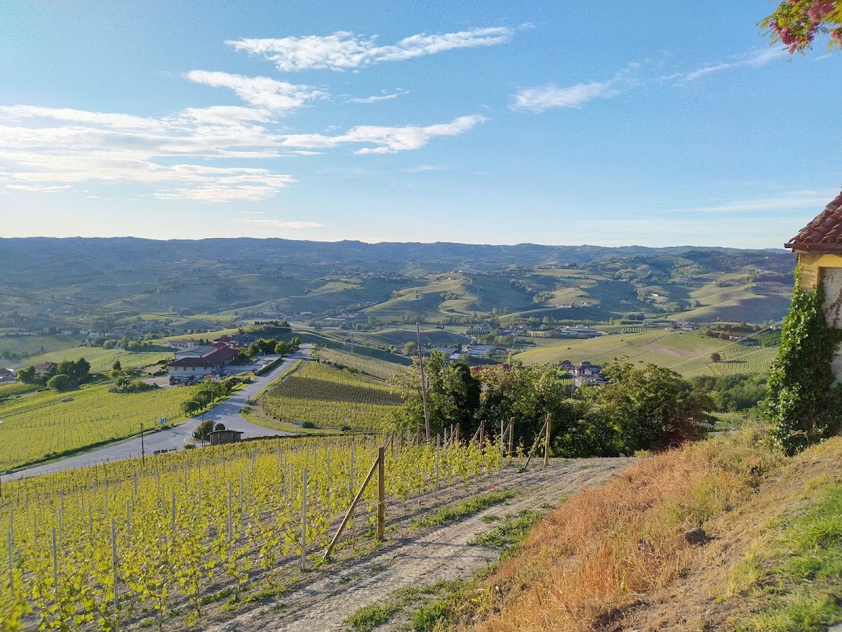 Mangialonga di La Morra
