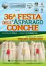 Festa Dell'asparago A Conche Di Codevigo — Sagra a Conche Di Codevigo, PD