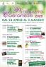 Festa Di Primavera a Caerano — Sagra a Caerano, TV